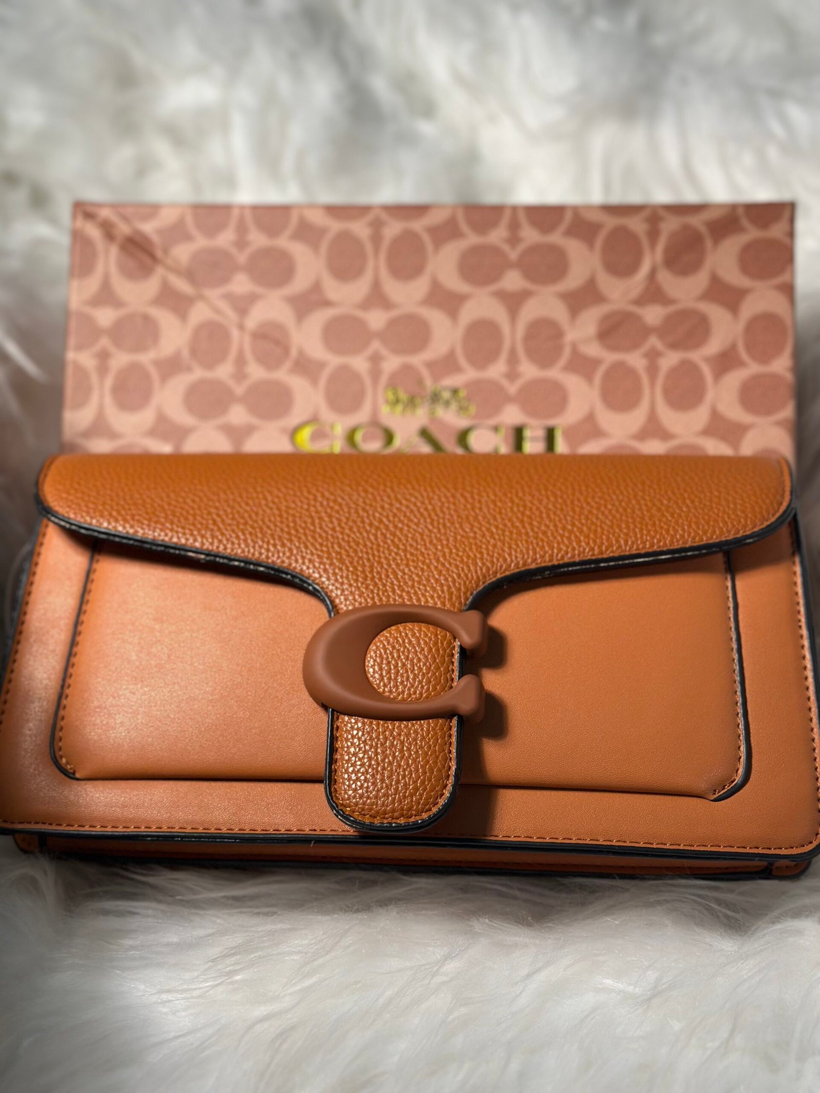Burnt Orange Coach Hand Purse