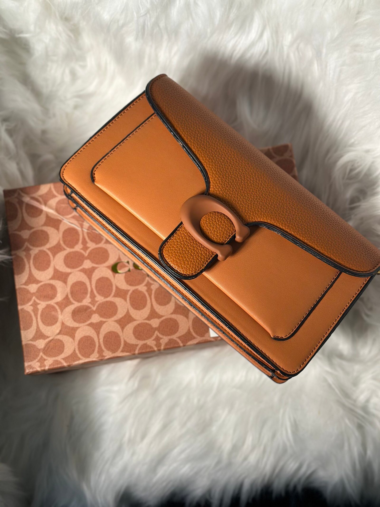 Burnt Orange Coach Hand Purse
