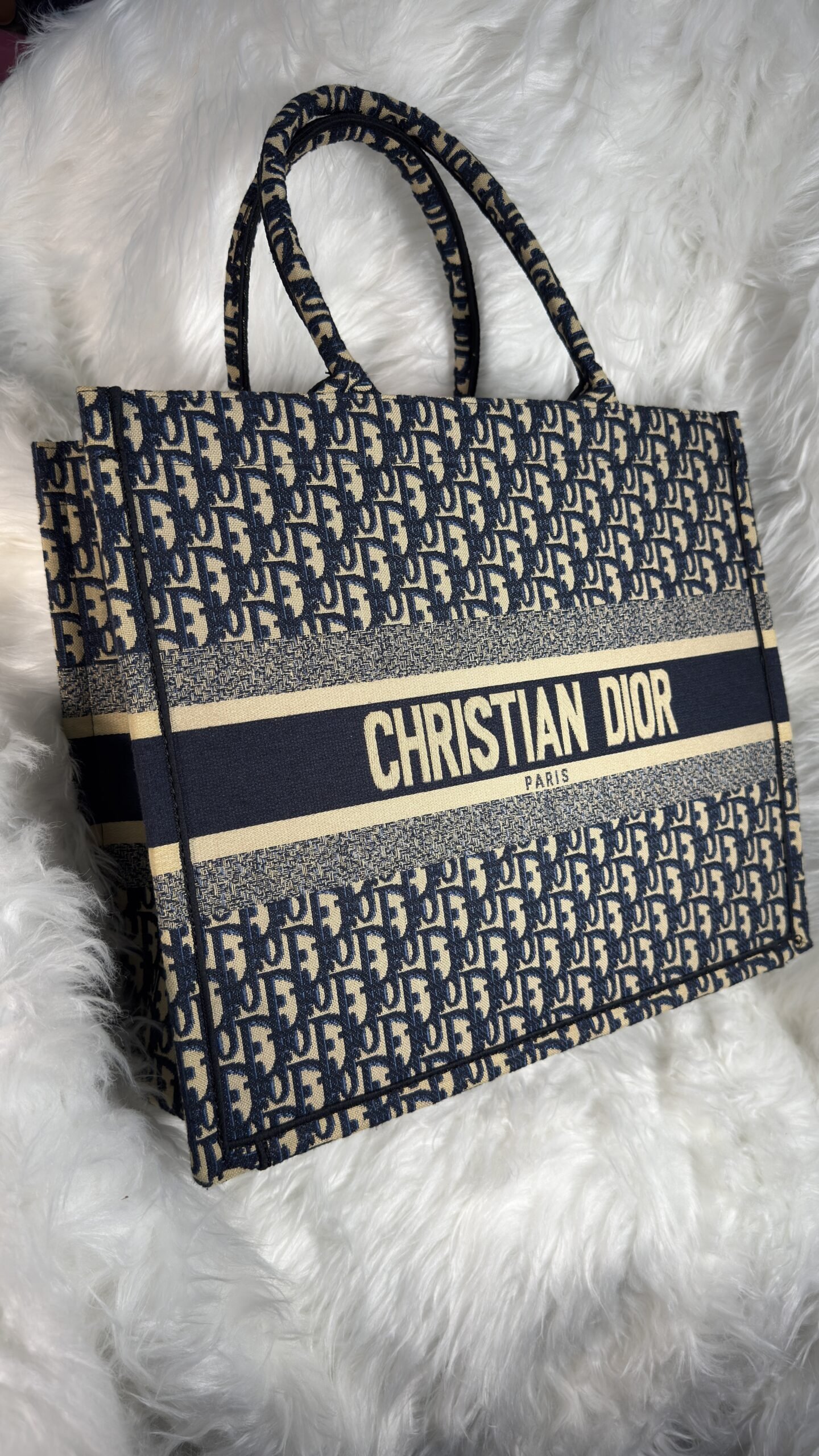 Christian Dior Luxury Bag
