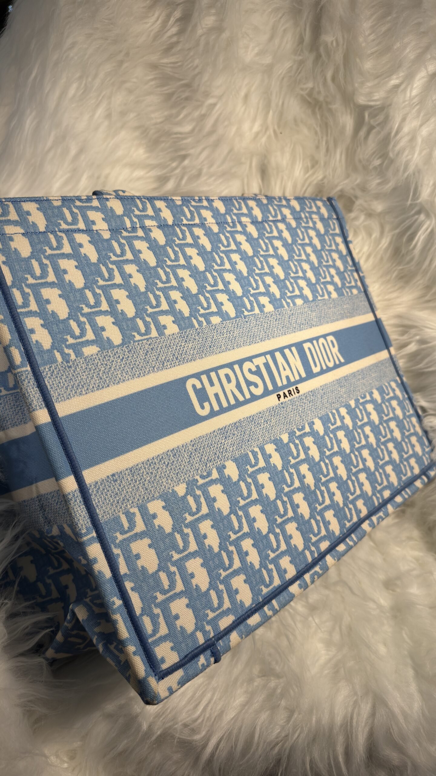 Luxury Christian Dior Bag