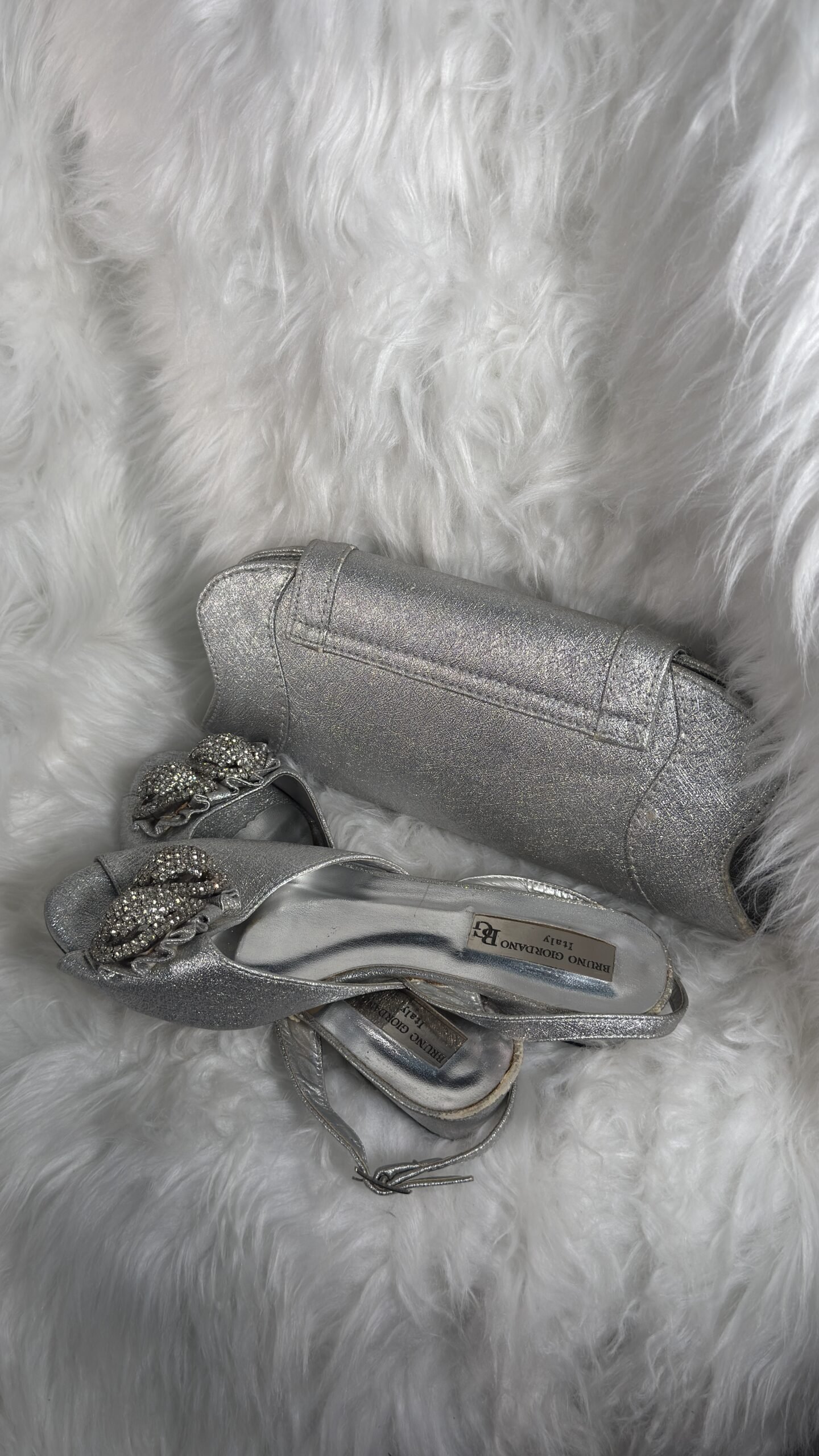 Silver Fashion Set: Purse and Shoe