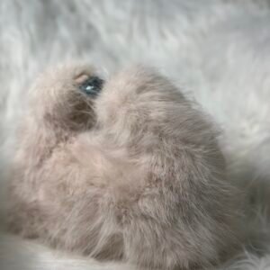 Hairy Teddy Hand Fashion Bag